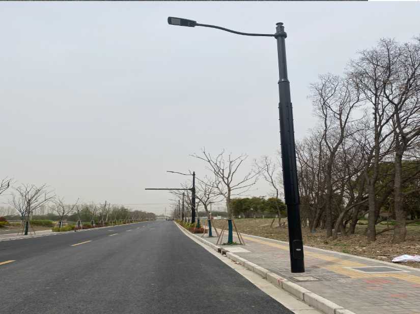 勐腊县上海综合杆 太阳能路灯工程